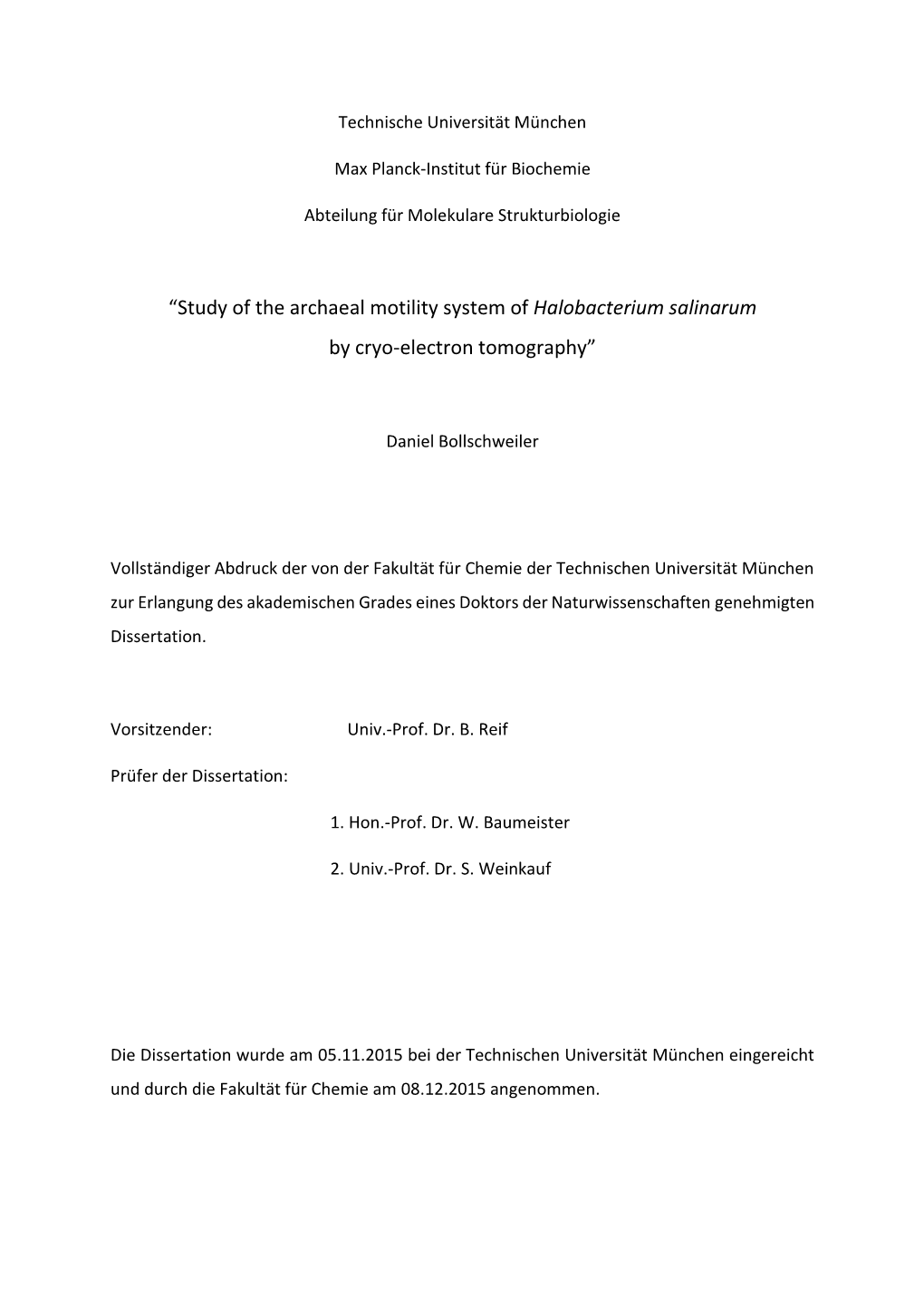 Study of the Archaeal Motility System of H. Salinarum by Cryo-Electron Tomography