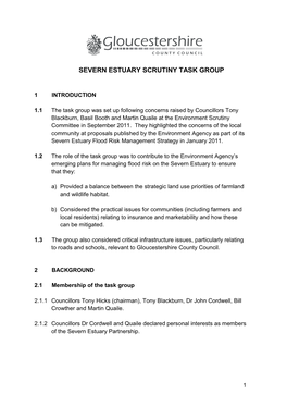 Severn Estuary Scrutiny Task Group