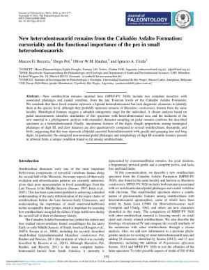 New Heterodontosaurid Remains from the Cañadón Asfalto Formation: Cursoriality and the Functional Importance of the Pes in Small Heterodontosaurids