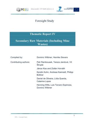 Foresight Study Thematic Report IV Secondary Raw Materials (Including Mine Wastes)