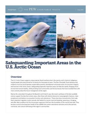 Safeguarding Important Areas in the U.S. Arctic Ocean