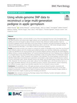 Using Whole-Genome SNP Data to Reconstruct a Large Multi-Generation