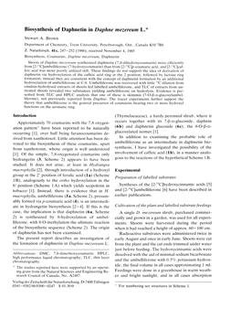 Biosynthesis of Daphnetin in Daphne Mezereum L.*