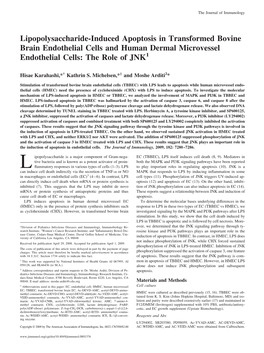 Cells and Human Dermal Microvessel Endothelial Cells: the Role of JNK1