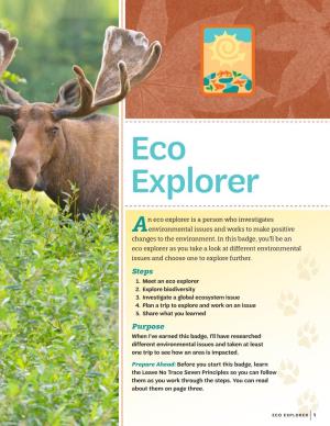 An Eco Explorer Is a Person Who Investigates