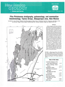 Plio-Pleistocene Stratigraphy, Paleoecology, and Mammalian