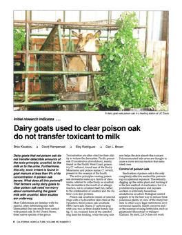Dairy Goats Used to Clear Poison Oak Do Not Transfer Toxicant to Milk