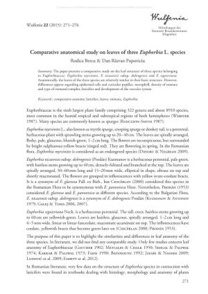 Comparative Anatomical Study on Leaves of Three Euphorbia L. Species Rodica Bercu & Dan Răzvan Popoviciu
