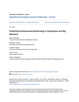 Predicting Developmental Morphology in Switchgrass and Big Bluestem