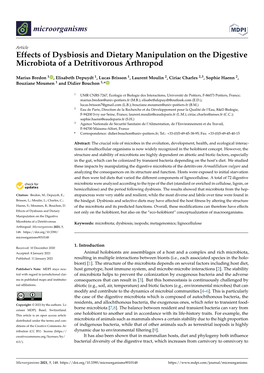 Effects of Dysbiosis and Dietary Manipulation on the Digestive Microbiota of a Detritivorous Arthropod