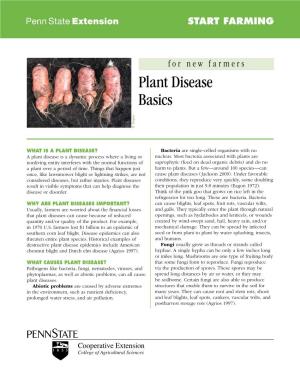 Plant Disease Basics B
