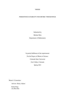 Thesis Persistence Stability for Metric Thickenings
