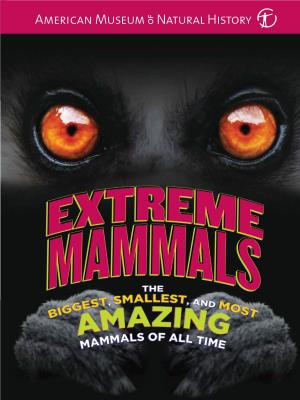 Extreme Mammals