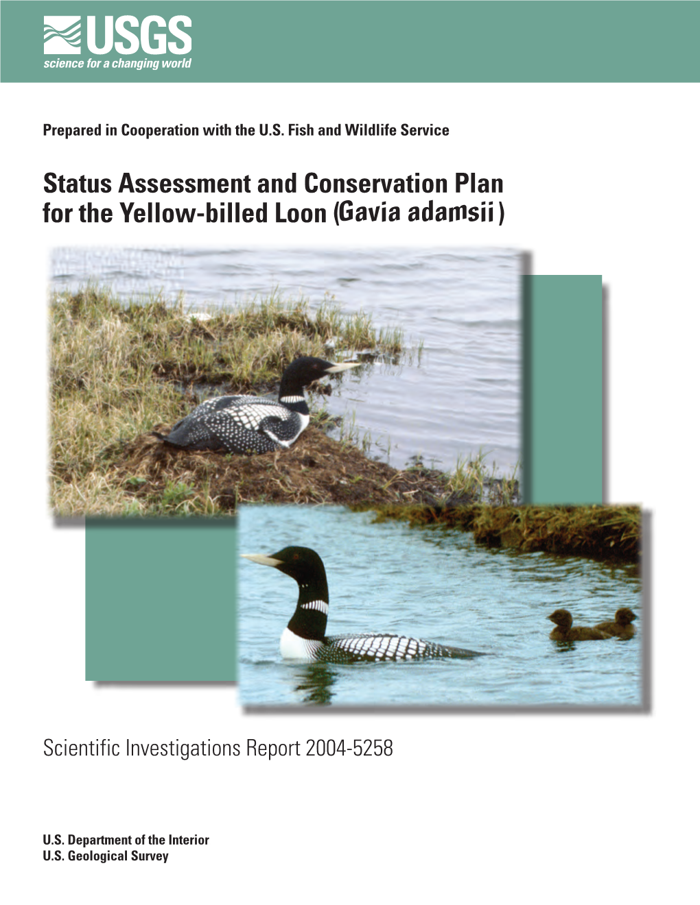 Status Assessment and Conservation Plan for the Yellow-Billed Loon (Gavia Adamsii)