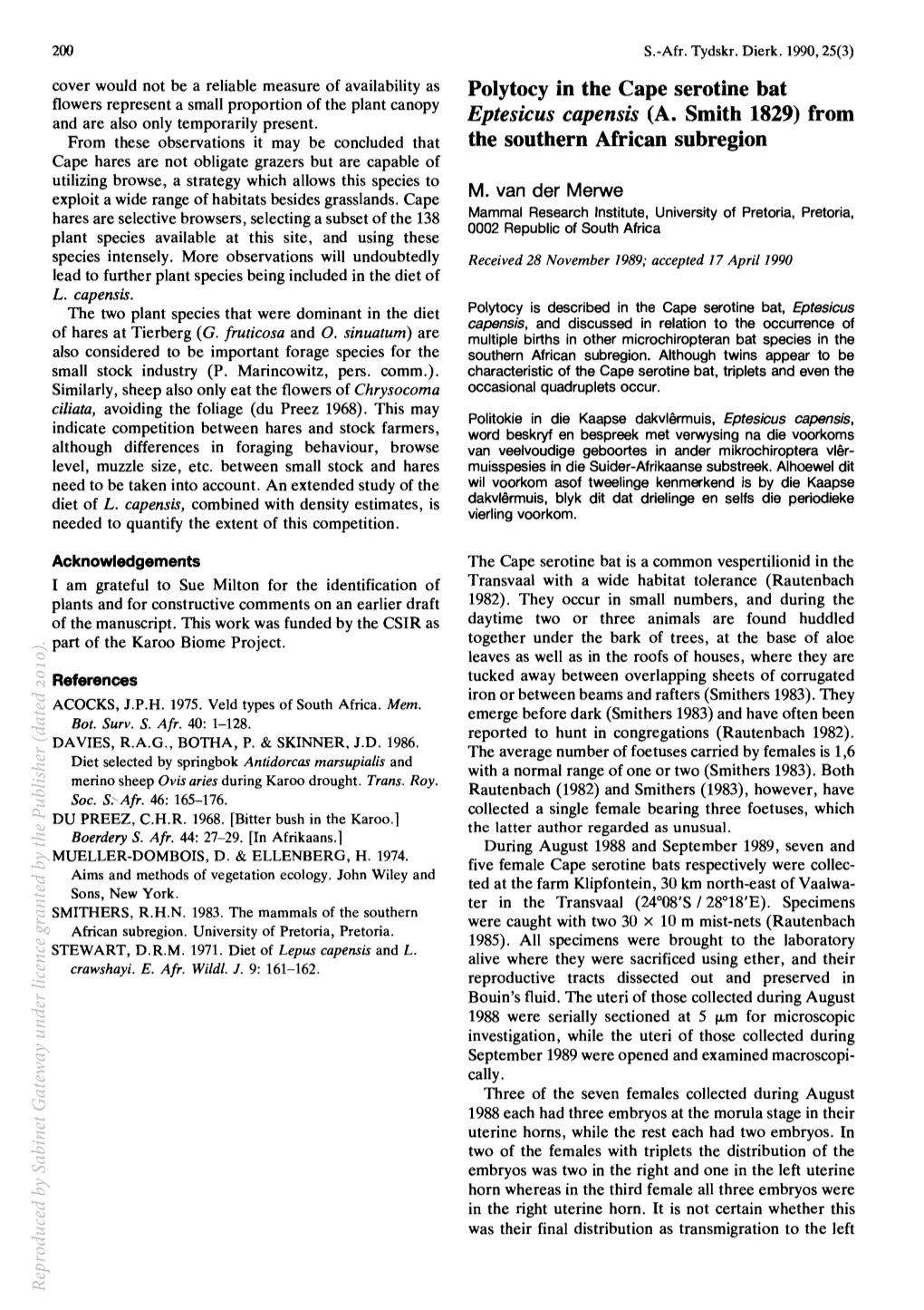 Polytocy in the Cape Serotine Bat Eptesicus Capensis (A. Smith 1829