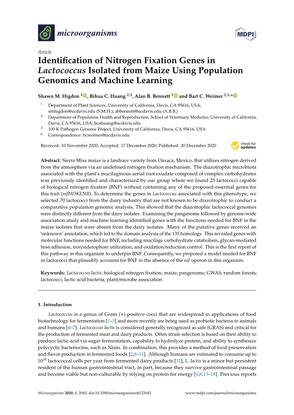 Identification of Nitrogen Fixation Genes in Lactococcus Isolated From