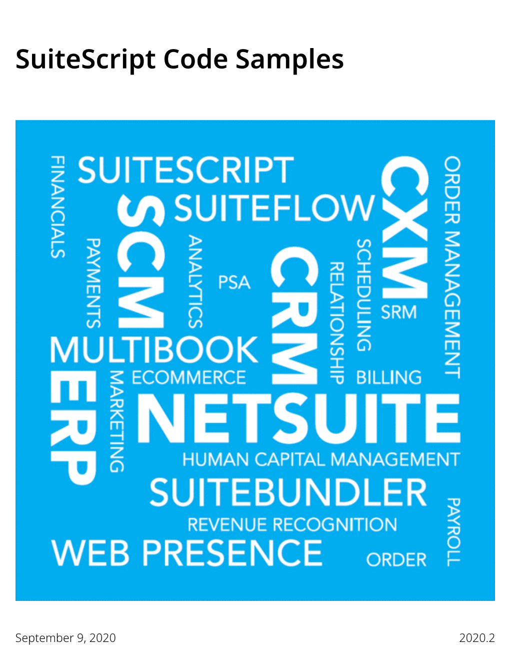 Suitescript Code Samples