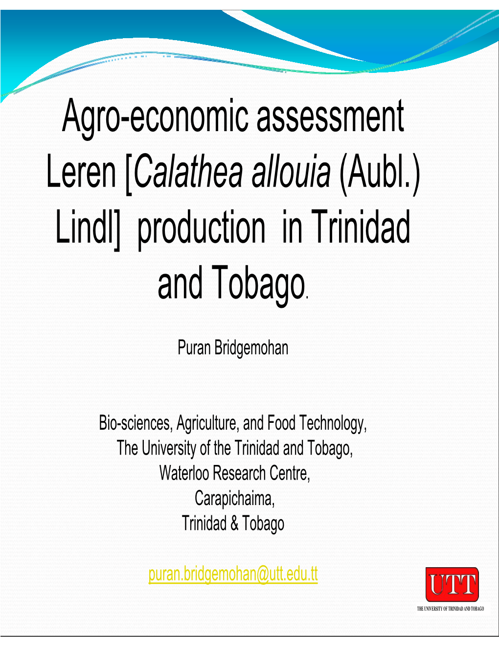Calathea Allouia (Aubl.) Lindl] Production in Trinidad