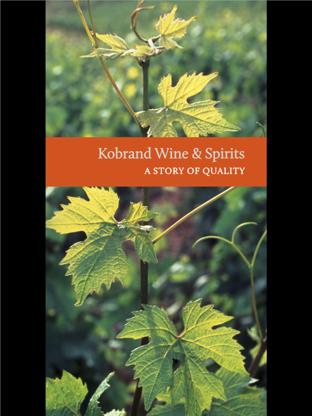 Kobrand Wine & Spirits