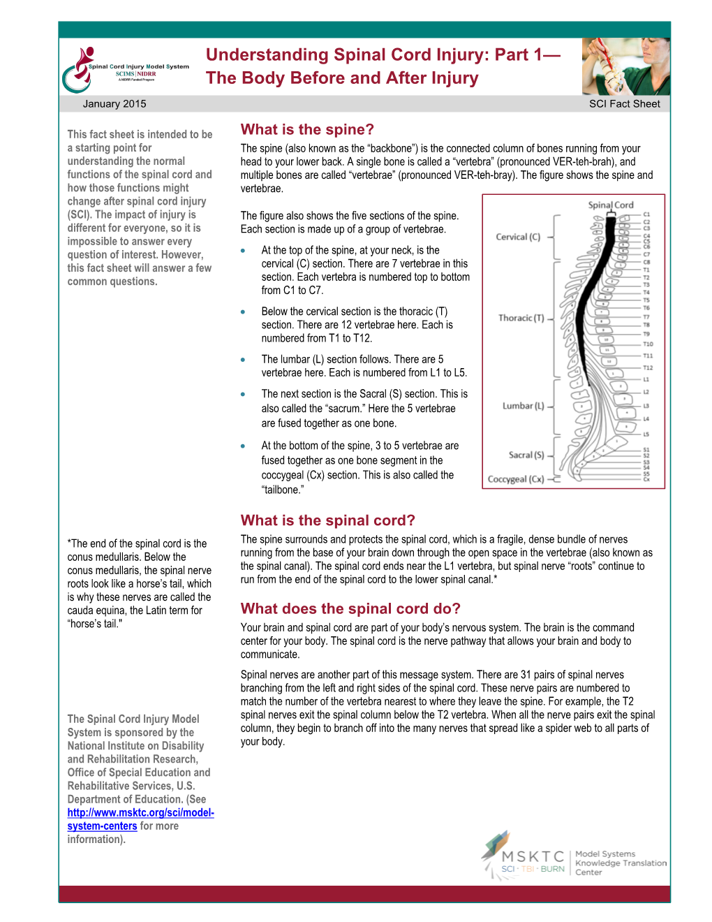 Understanding Spinal Cord Injury: Part 1—The Body Before and After