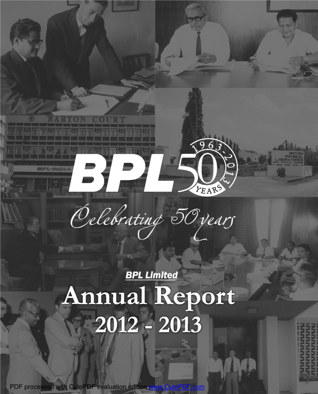 BPL Limited Annual Report 201