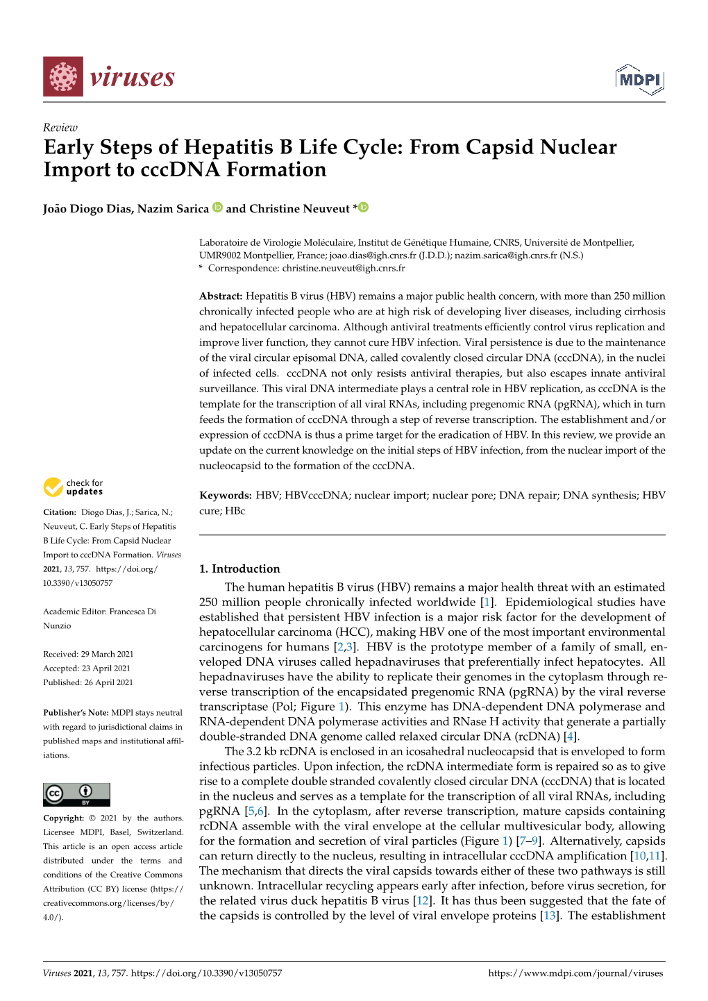 From Capsid Nuclear Import to Cccdna Formation