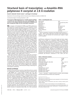 Structural Basis of Transcription: -Amanitin–RNA Polymerase II