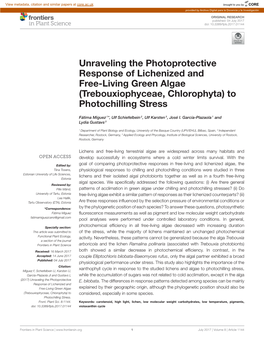 Unraveling the Photoprotective Response of Lichenized and Free-Living Green Algae (Trebouxiophyceae, Chlorophyta) to Photochilling Stress