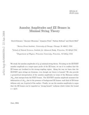 Annulus Amplitudes and ZZ Branes in Minimal String Theory
