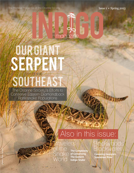 Serpent of the Southeast the Orianne Society’S Efforts to Conserve Eastern Diamondback Rattlesnake Populations