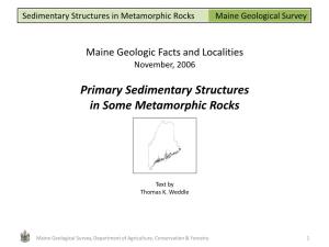 Primary Sedimentary Structures in Some Metamorphic Rocks