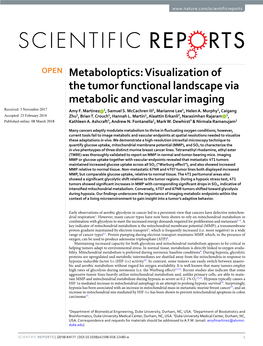 Visualization of the Tumor Functional Landscape Via Metabolic and Vascular Imaging Received: 3 November 2017 Amy F