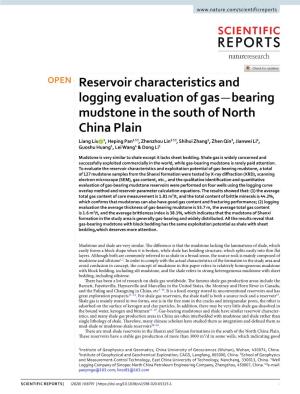 Reservoir Characteristics and Logging Evaluation of Gas-Bearing