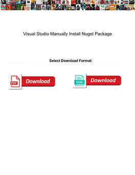 Visual Studio Manually Install Nuget Package