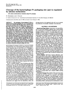 Cleavage of the Bacteriophage P1 Packaging Site (Pac) Is Regulated by Adenine Methylation (DNA Adenine Methyltransferase/Methylation/Phage DNA Packaging) N