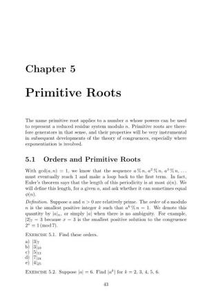 Primitive Roots