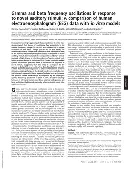 Gamma and Beta Frequency Oscillations in Response to Novel Auditory Stimuli: a Comparison of Human Electroencephalogram (EEG) Data with in Vitro Models