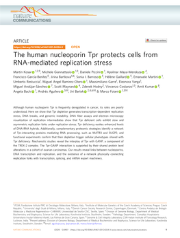 The Human Nucleoporin Tpr Protects Cells from RNA-Mediated Replication Stress