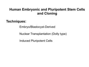 Human Embryonic and Pluripotent Stem Cells and Cloning Techniques