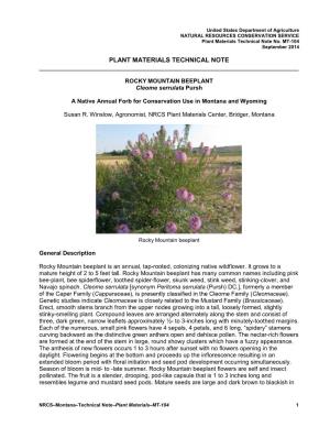 Rocky Mountain Beeplant Cleome Serrulata: a Native Annual Forb