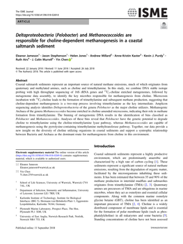 (Pelobacter) and Methanococcoides Are Responsible for Choline-Dependent Methanogenesis in a Coastal Saltmarsh Sediment