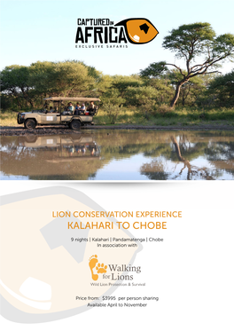 Kalahari to Chobe