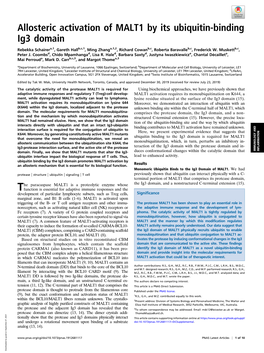 Allosteric Activation of MALT1 by Its Ubiquitin-Binding Ig3 Domain