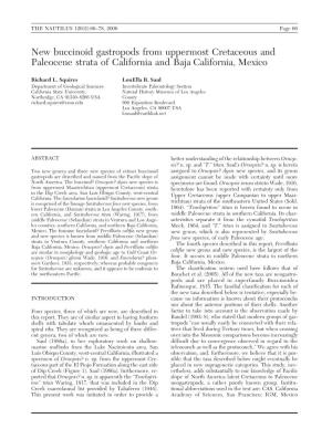 New Buccinoid Gastropods from Uppermost Cretaceous and Paleocene Strata of California and Baja California, Mexico