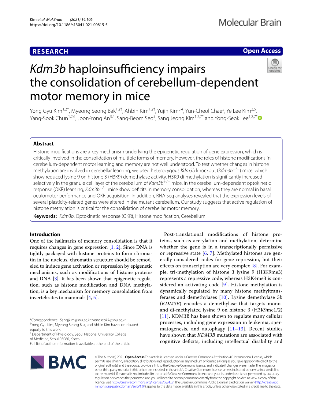 Kdm3b Haploinsufficiency Impairs the Consolidation of Cerebellum