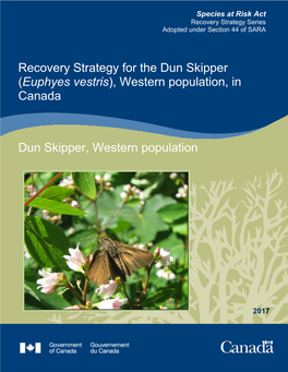 Dun Skipper (Euphyes Vestris), Western Population, in Canada
