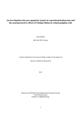 An Investigation Into Pro-Apoptotic Targets in Experimental Glaucoma and the Neuroprotective Effects of Ginkgo Biloba in Retinal Ganglion Cells