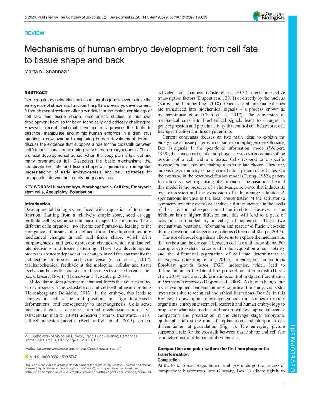 Mechanisms of Human Embryo Development: from Cell Fate to Tissue Shape and Back Marta N