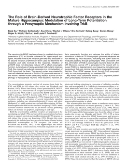 Modulation of Long-Term Potentiation Through a Presynaptic Mechanism Involving Trkb