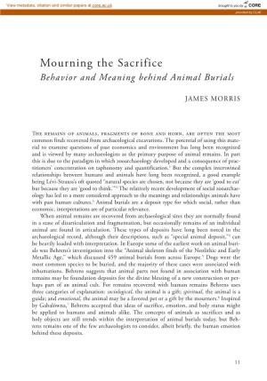 Mourning the Sacrifice Behavior and Meaning Behind Animal Burials